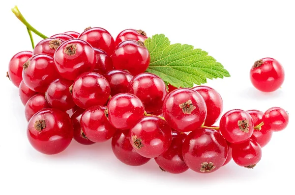 Ripe Redcurrant Berries White Background Close — Stock Photo, Image