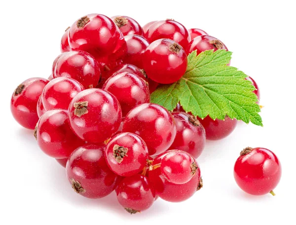 Ripe Redcurrant Berries White Background Close — Stock Photo, Image