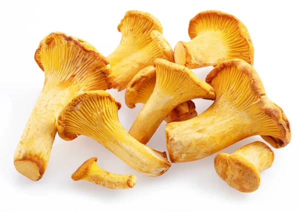 Zlaté Chanterelle Houby Izolované Bílém Pozadí — Stock fotografie