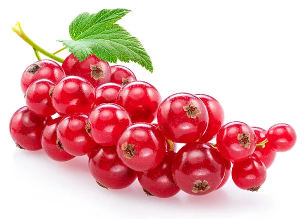 Ripe Redcurrant Berries White Background Close — Stock Photo, Image