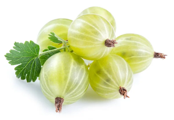 Green Ripe Gooseberries White Background Close — Stock Photo, Image