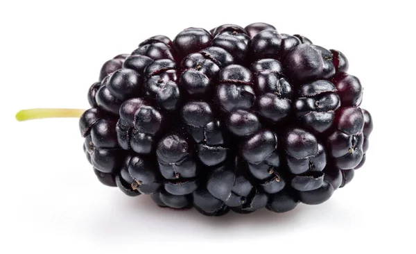 Jeden Dojrzały Owoc Morwy Czarnej Izolowany Białym Tle — Zdjęcie stockowe