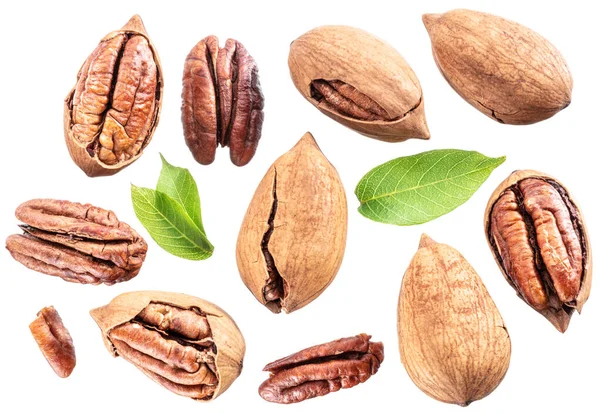 Conjunto Nueces Pacana Descascaradas Agrietadas Aisladas Sobre Fondo Blanco — Foto de Stock