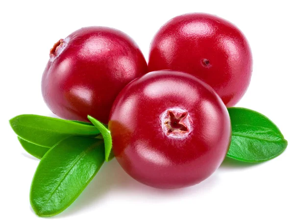 Ώριμα Κόκκινα Cranberries Πράσινα Φύλλα Λευκό Φόντο Κοντινό Πλάνο — Φωτογραφία Αρχείου