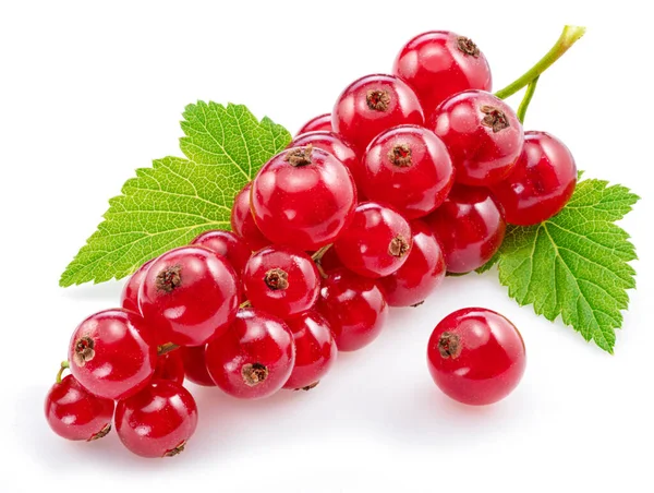 Ripe Redcurrant Berries White Background Close — Stock Photo, Image