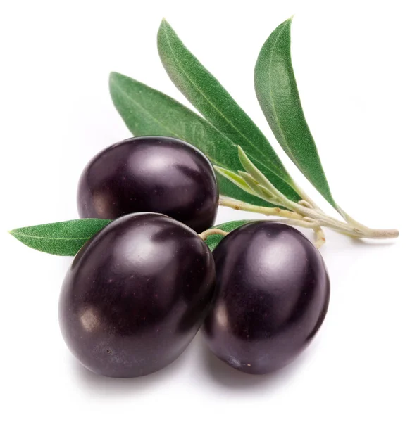 Purple Olives Leaves White Background Close — Stock Photo, Image