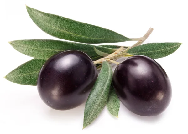 Olives Violettes Avec Des Feuilles Sur Fond Blanc Gros Plan — Photo