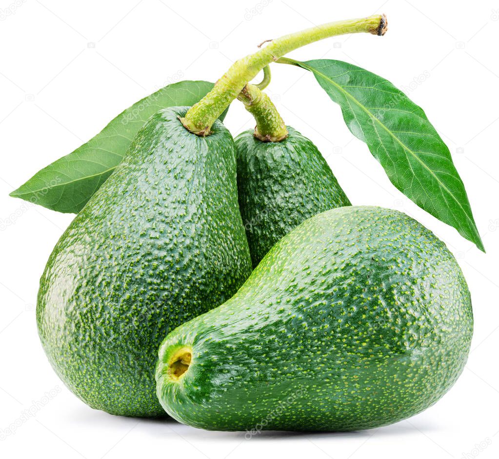 Three large avocados on branch with leaf on white background. File contains clipping path.