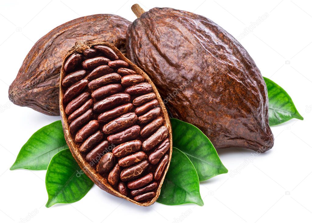 Cocoa pods with cocoa leaves isolated on a white background.