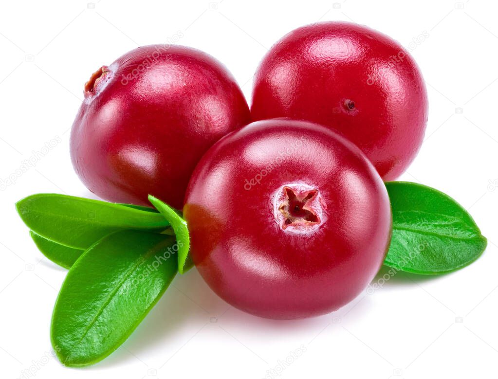 Ripe red cranberries with green leaves on white background. Close-up.