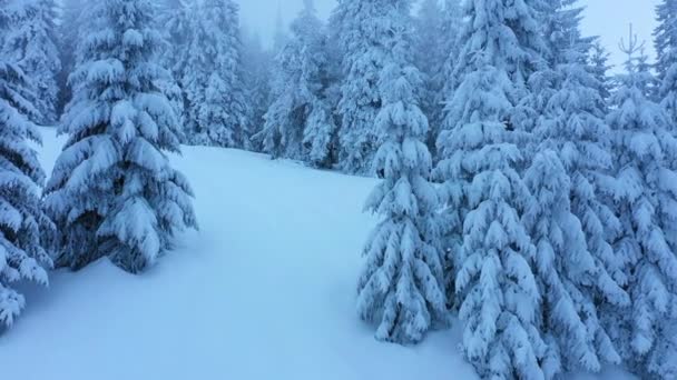 Slow Motion Aerial View Deep Beautiful Snowy Winter Mountain Forest — стоковое видео