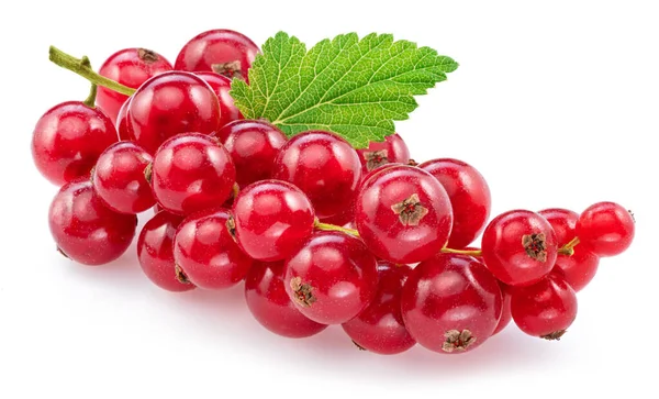 Ripe Redcurrant Berries White Background Close — Stock Photo, Image