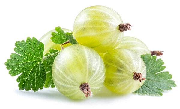 Green ripe gooseberries on white background. Close-up.