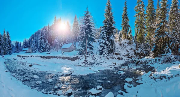 Árvores Abeto Cobertas Neve Córrego Com Borda Gelada Belo Fundo — Fotografia de Stock