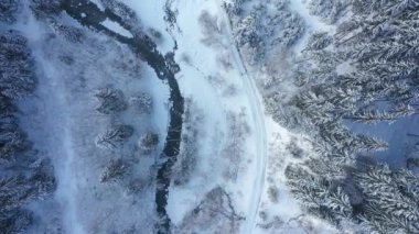 Drone top aerial view along a beautiful winter mountain landscape with a river and fir trees, it is snowy. Ukraine, Carpathians.