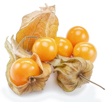 Beyaz arka planda izole edilmiş calyx cinsinden olgun bitki salatası ya da altın çilek..