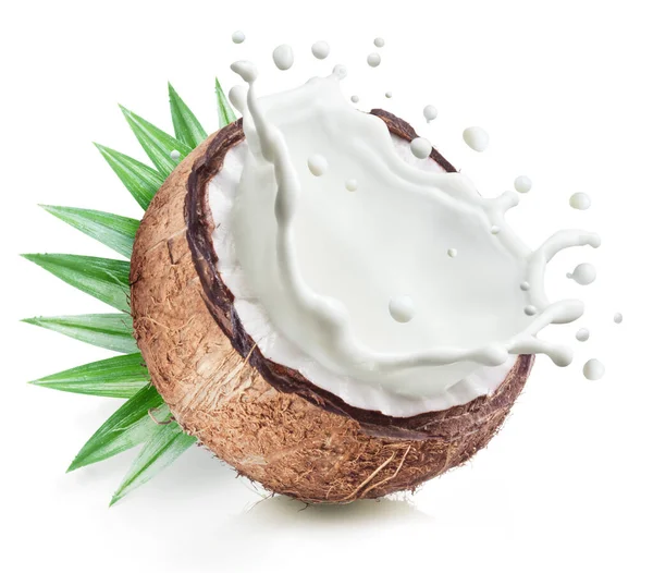 Coconut Nut Coconut Milk Splash Leaves Isolated White Background Clipping — Photo