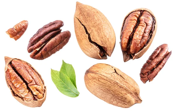 Set Noci Pecan Sgusciate Screpolate Isolate Fondo Bianco — Foto Stock