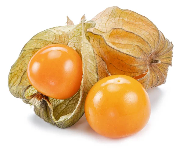 Ripe Physalis Golden Berry Fruits Calyx Isolated White Background — стоковое фото