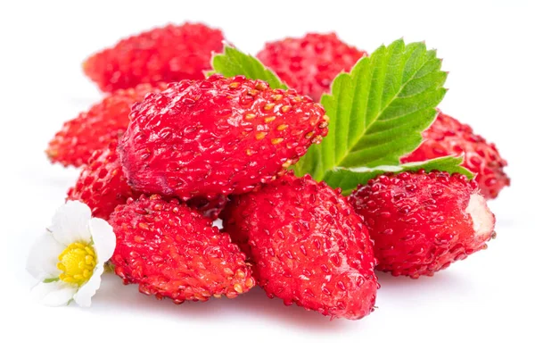 Fresa Salvaje Roja Madura Con Hojas Fresas Aisladas Sobre Fondo — Foto de Stock