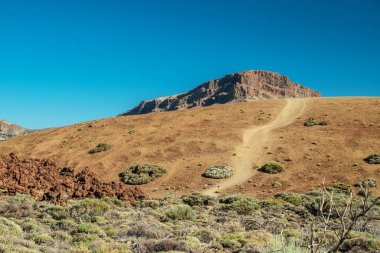 Teide Ulusal Parkı 'nın eşsiz manzarası ve Teide Volkan Tepesi manzarası. Tenerife Adası.