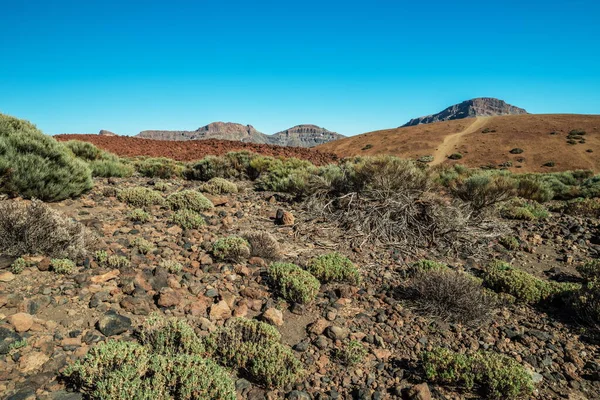 Paisagem Única Parque Nacional Teide Vista Pico Vulcão Teide Ilha — Fotografia de Stock