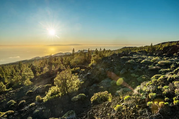 Vista Ilha Gomera Acima Das Nuvens Estrada Parque Nacional Teide — Fotografia de Stock