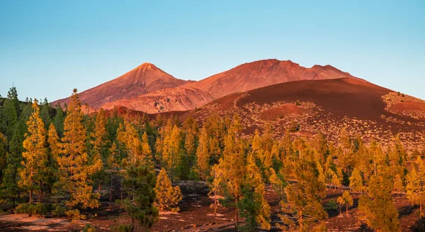 Teide Ulusal Parkı Tenerife Adası — Stok fotoğraf