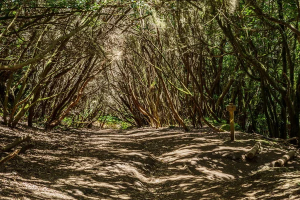 Widok Wyspę Teneryfa Drogi Anaga Rural Park — Zdjęcie stockowe