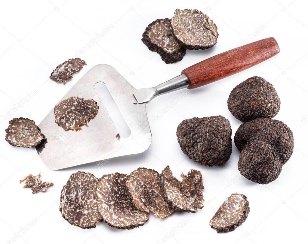 Black edible winter truffle on white background. The most famous of the trufflez.