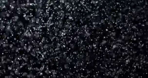 Падающие Хаотичные Снежинки Изолированные Черном Фоне Медленно Тихий Падающий Снег — стоковое видео