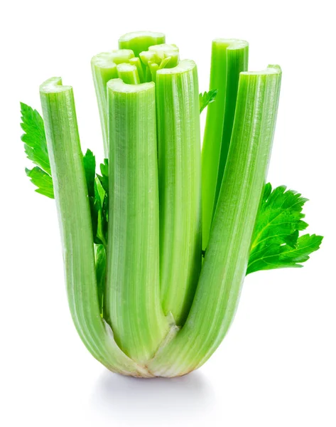 Fresh Celery Stalk Isolated White Background — Stock Photo, Image