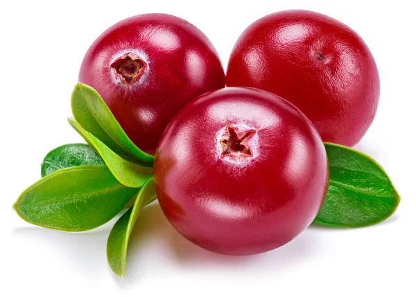 Ώριμα Κόκκινα Cranberries Πράσινα Φύλλα Λευκό Φόντο Κοντινό Πλάνο — Φωτογραφία Αρχείου