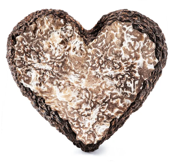 Black Edible Winter Truffle Shape Heart White Background Most Famous — Stock fotografie