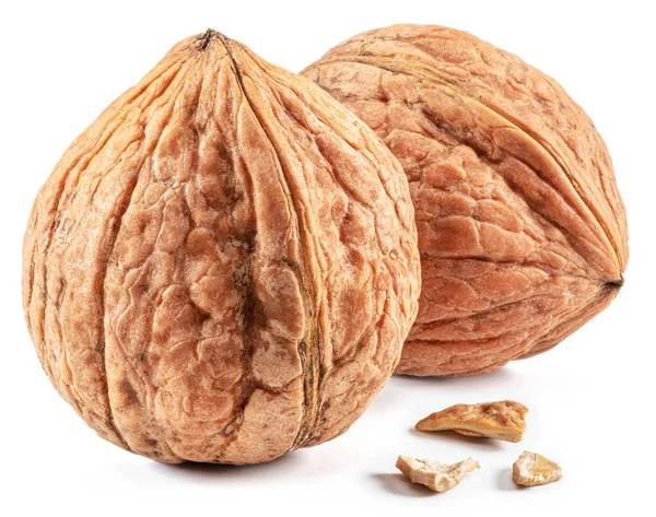Two Whole Walnuts Isolated White Background — Stock Photo, Image