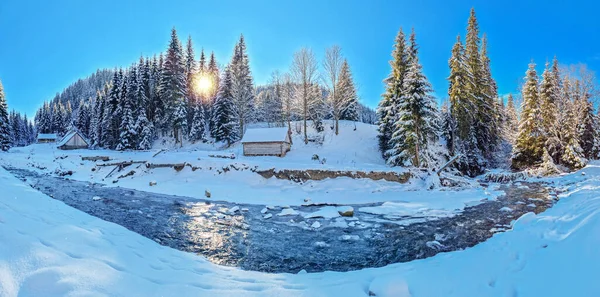 Alberi Abete Coperti Neve Ruscello Con Bordo Ghiacciato Bellissimo Sfondo — Foto Stock