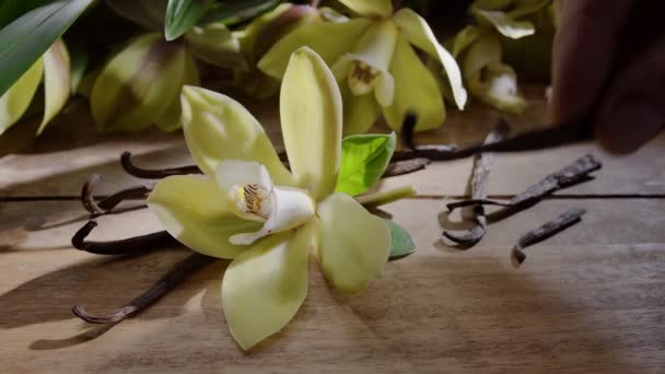 Flor Orquídea Vainilla Con Palos Vainilla Una Mesa Madera Vintage — Vídeo de stock