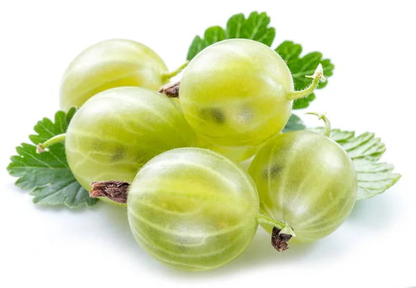 Grüne Reife Stachelbeeren Auf Weißem Hintergrund Nahaufnahme — Stockfoto