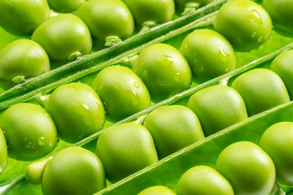 Rows Perfect Green Peas Pod Close Food Background — Stock Photo, Image