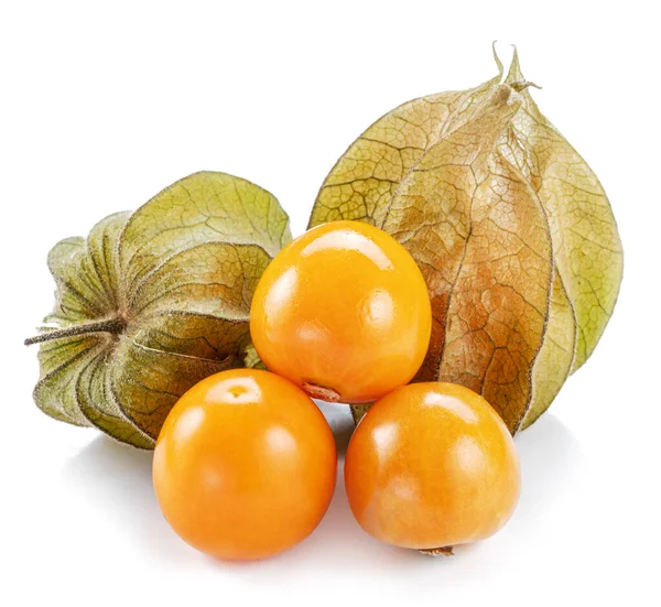 Ripe Physalis Golden Berry Fruits Calyx Isolated White Background — Stock Fotó