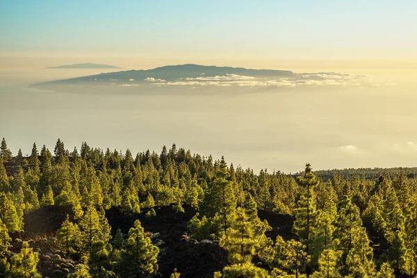 Uitzicht Eiland Gomera Boven Wolken Van Teide National Park Weg — Stockfoto