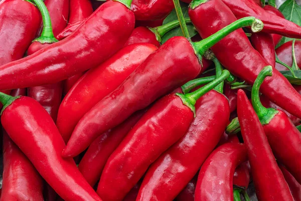 Dużo Świeżego Czerwonego Chilli Papryki Kontekst Żywności — Zdjęcie stockowe