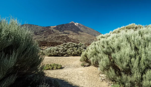 Teide Ulusal Parkı Nın Eşsiz Manzarası Teide Volkan Tepesi Manzarası — Stok fotoğraf