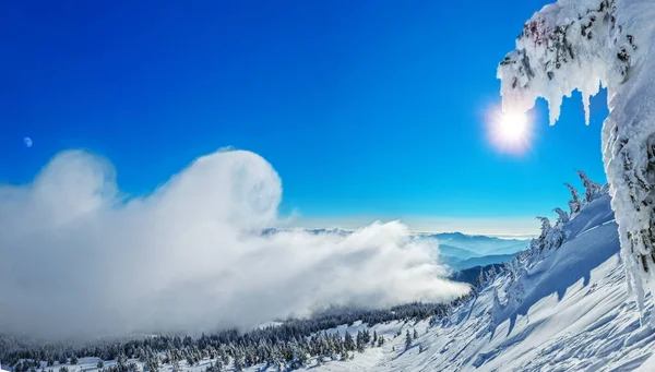 Beautiful Sunny Winter Landscape Mountains Mountain Fir Trees Covered Snow — Stock Photo, Image