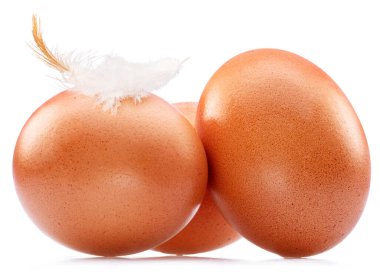 Beyaz arka planda izole edilmiş tavuk tüylü kahverengi tavuk yumurtaları..