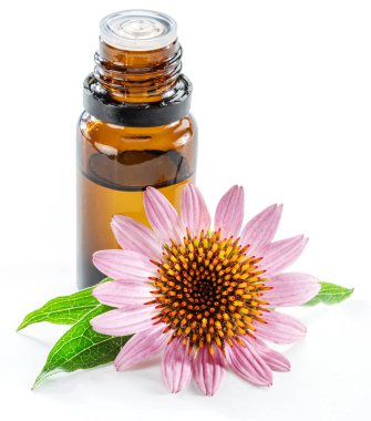 Çiçeklenen kabuksuz başlıklar ve bir şişe ekinezya mor koni yağı beyaz arka planda izole edilmiş.. 