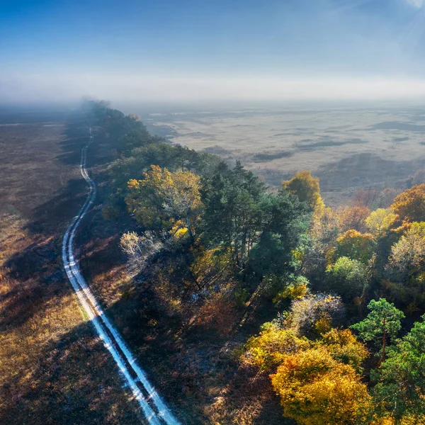 Weg Die Loopt Tussen Herfstvelden Bosgordels Luchtfoto Natuur Herfst Achtergrond — Stockfoto
