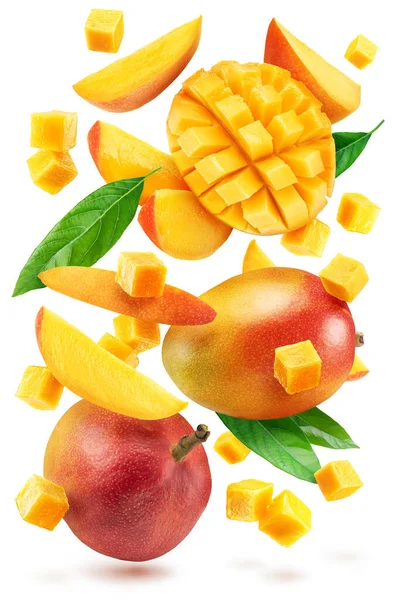 Collection Mango Fruits Mango Cubes Slices Levitating Air File Contains — Stok fotoğraf