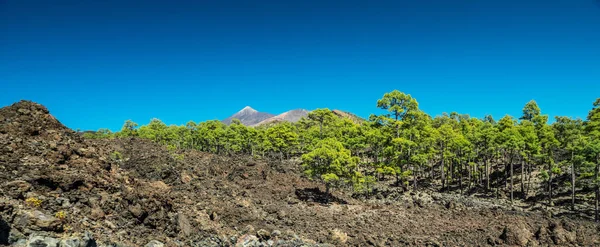 Parque Nacional Teide Ilha Tenerife — Fotografia de Stock