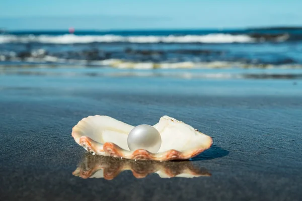 Prachtige Parel Parelschelp Het Stralende Zwarte Zandstrand Zee Blauwe Lucht — Stockfoto